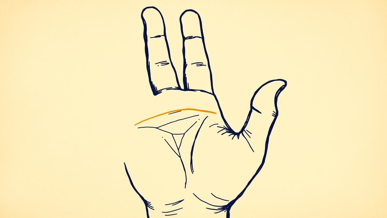 Illustration of a right palm with the life line highlighted in gold, curving from between the thumb and index finger down around the base of the thumb
